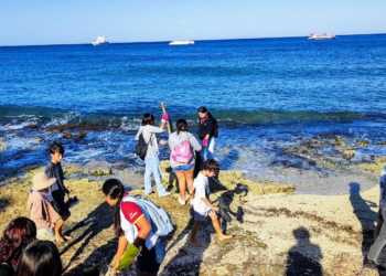 FPMC y CBTIS realizan limpieza de Playas en Cozumel