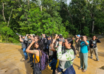 “Descubriendo las Alas de Cozumel”: evento para conectar con la naturaleza