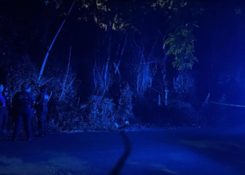 Cuerpo embolsado encontrado en los límites de Isla Mujeres y Cancún