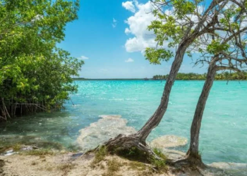 Avanza formalización de nuevas áreas protegidas en Quintana Roo