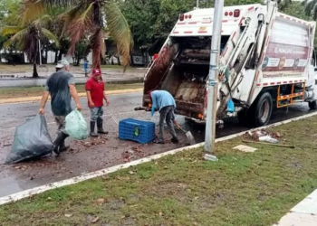 Nuevo arrendamiento de camiones mejorará recolecta de basura