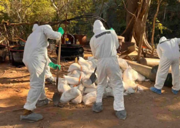 Marina destruye laboratorio clandestino con más de 11 toneladas de estupefacientes en México