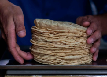 Se dispara tortilla a 30 pesos en Cozumel