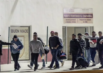 Repatriados recibirán apoyo en QRoo, se abrirán mil 200 plazas 8 repatriados