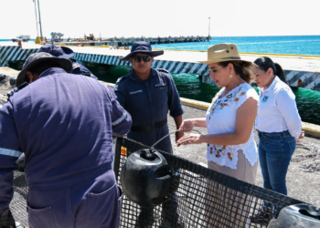 Mara Lezama anuncia centro integral de sargazo