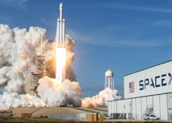Elon