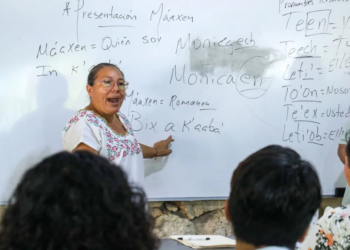 Solidaridad impulsa la inclusión con el “Taller Introductorio a la Lengua Maya” para servidores públicos