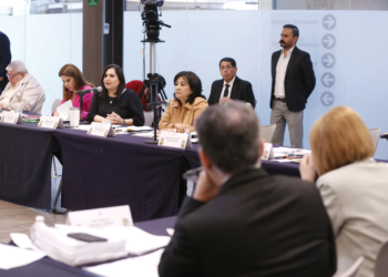 Mayuli Martínez critica reforma eléctrica de Morena: “No resuelve los problemas del sector energético”