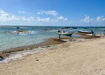 Preparativos para la Temporada de sargazo 2025 en Quintana Roo