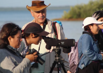 Éxito en curso sobre conservación de humedales en México