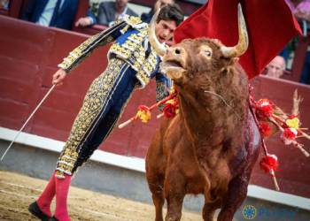 corridas de toros