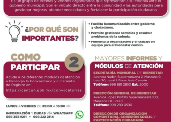 comités