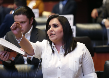 Senadora Mayuli Martínez acusa a Morena, PT y PVEM de evadir debate sobre crisis de desapariciones en México