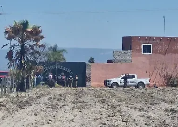 Se identifican nuevos lotes óseos en Rancho Izaguirre