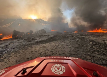 Incendios arrasan Nuevo León: 239 en 24 horas