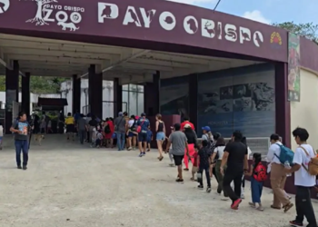 Reapertura del zoológico de Chetumal: familias celebran el 45.º aniversario con novedades y diversión