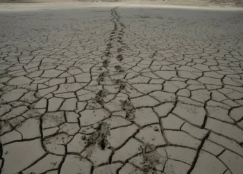 Cambio Climático agrava saltos extremos de temperatura global