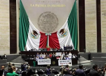 Cámara de diputados aprueba ley de simplificación de trámites modificada