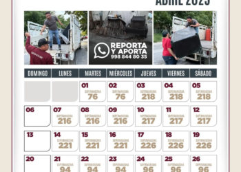 Cancún implementa operativo de descacharrización para prevenir riesgos sanitarios
