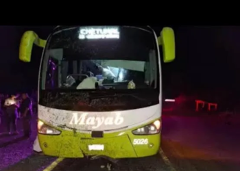 Terror a bordo: chofer de autobús Mayab intentó entregar a pasajeros a la delincuencia