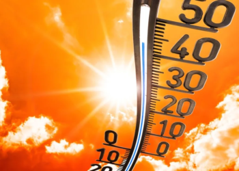 Ola de calor