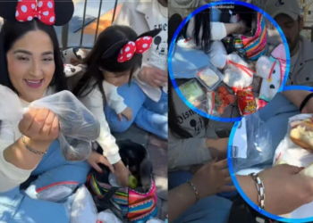 Disneyland