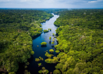 Amazonas