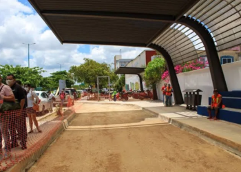 ¡Adiós al caos vial! Playa del Carmen reubica paraderos y mejora la movilidad urbana