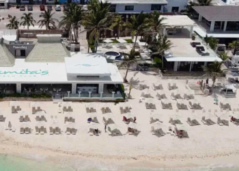 Gobierno de Playa del Carmen desmiente tala de mangle en Playa Mamitas
