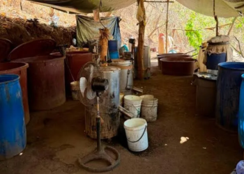 Pista ilícita y narcolaboratorio: Golpe de 966 MDP en Durango