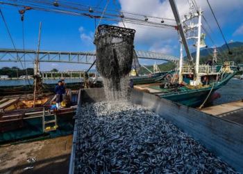 El “reverdecimiento” polar anuncia una revolución en la pesca global