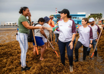Estefanía Mercado llama a Playa del Carmen a limpiar playas