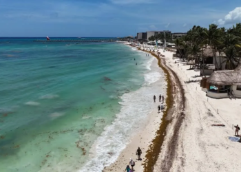 Caribe Mexicano