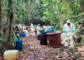 Desmantelan laboratorio de drogas escondido en el selva