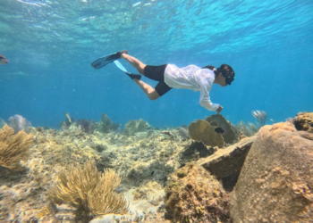 Jóvenes restauran vida marina en Cozumel 7 Jóvenes restauran vida marina en Cozumel