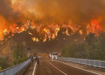 Más de 3 mil evacuados y un bombero muerto por incendios forestales en Turquía