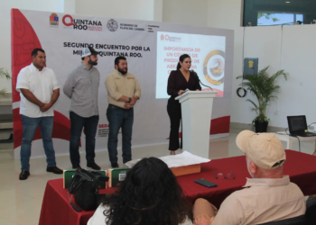 Miel con futuro: impulsan apicultura sostenible en Playa del Carmen