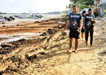 Sargazo rebasa cifras históricas en Quintana Roo