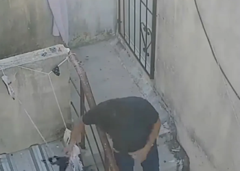 ¡Insólito robo en Cancún! Joven es captado robando ropa interior del tendedero de un edificio