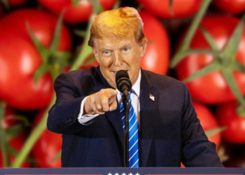 tomate