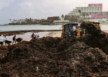 Sorpresivo recale de 140 toneladas de sargazo impacta Playa Norte en Isla Mujeres