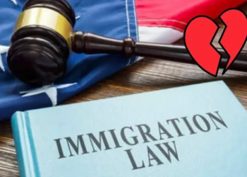 Florida invita a denunciar a exparejas indocumentadas para su deportación