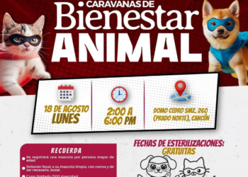 Caravanas del Bienestar Animal llegan a Prado Norte, Cancún