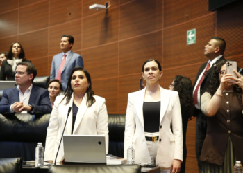 Gobierno no debe intervenir en investigaciones contra políticos, Mayuli Martínez