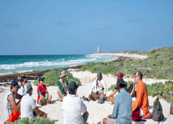 Meditan y restauran manglar en Punta Sur