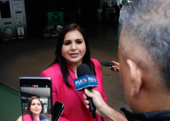 Morena protege a políticos ligados al crimen; PAN exige seguridad y rechaza simulaciones: Mayuli Martínez 7 Morena protege a políticos ligados al crimen; PAN exige seguridad y rechaza simulaciones: Mayuli Martínez