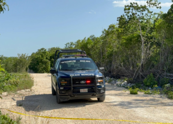 Investigan feminicidio tras hallazgo de un torso en la Sm 260