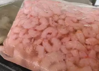 Prolongan veda del camarón en Tabasco, Campeche y Quintana Roo