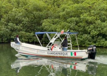 Paramédicos trasladan a un hombre tras mordedura de cocodrilo