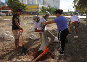 Plantan 150 árboles como parte del programa